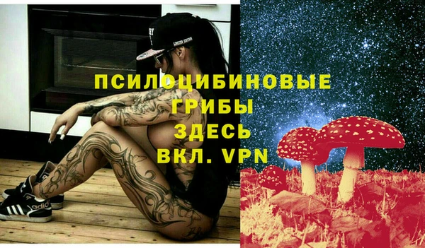 твердый Шали