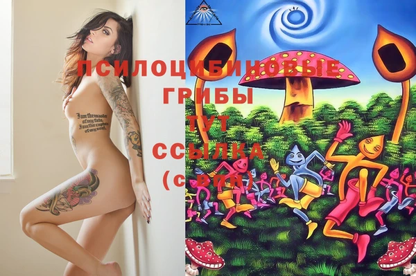 соль курить ск Шарыпово