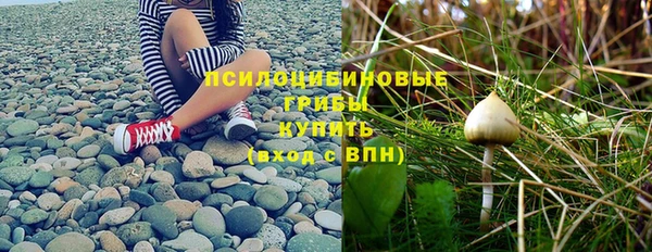 твердый Шали