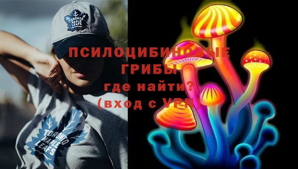 твердый Шали