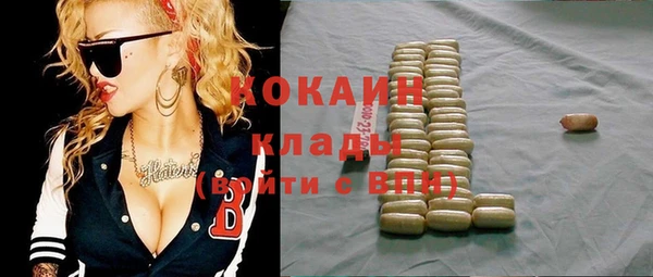 твердый Шали