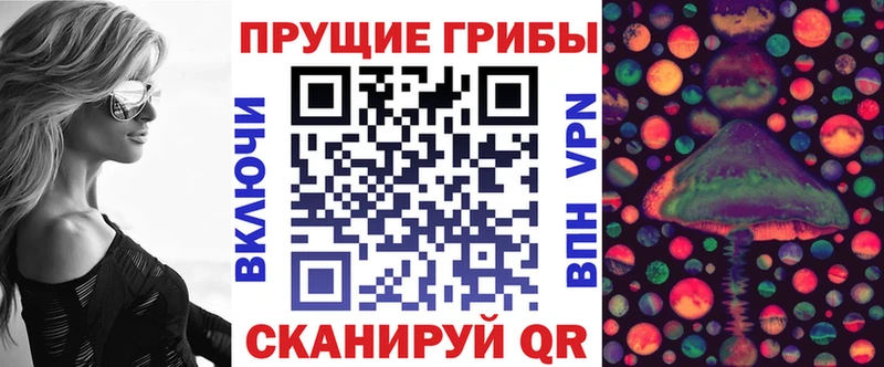 Галлюциногенные грибы Magic Shrooms  Купить  Завитинск 
